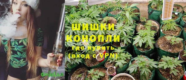 спайс Арсеньев