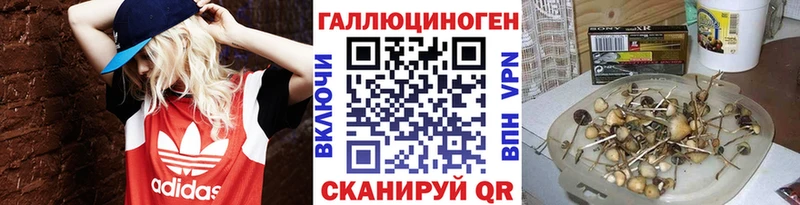 где можно купить Россошь кракен Галлюциногенные грибы GOLDEN TEACHER